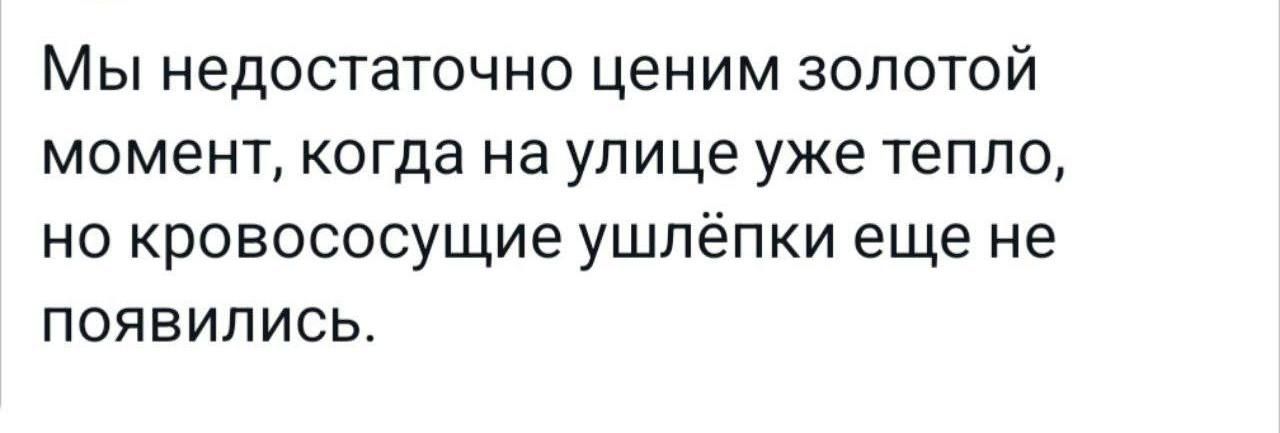 Мы недостаточно ценим золотой момент когда на улице уже тепло но кровососущие ушпёпки еще не появились