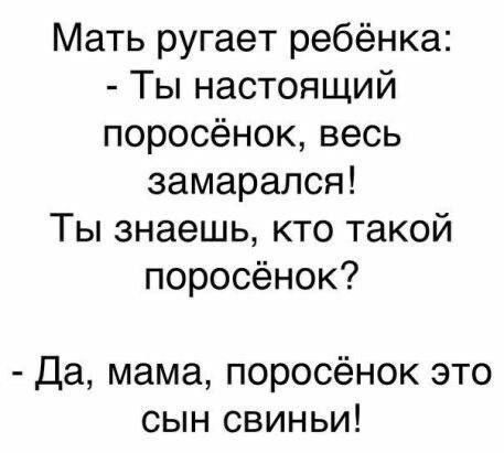 Мать ругает ребёнка Ты настоящий поросёнок весь замарался Ты знаешь кто такой поросёнок Да мама поросёнок это сын свиньи