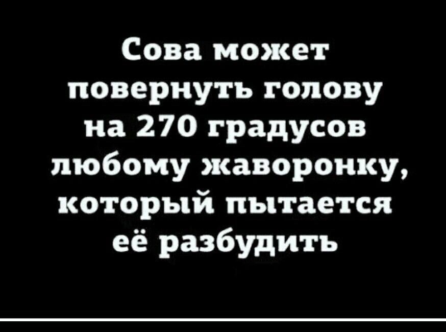 Сова может повернуть голову на 270 градусов любому жавороику который пытается её разбудить