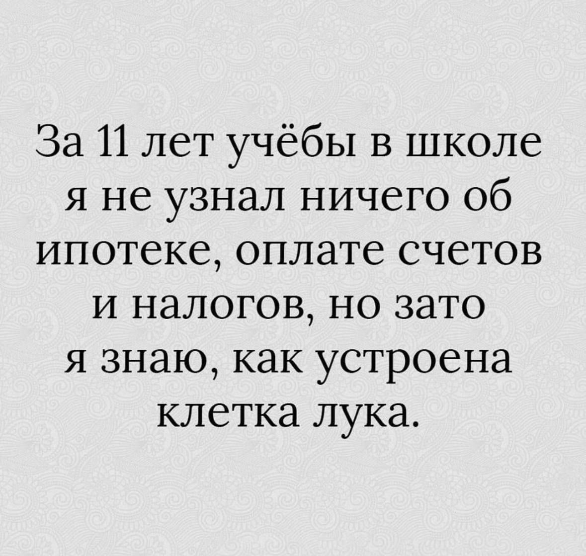 За 11 лет учёбы в школе я не узнал ничего об ипотеке оплате счетов и налогов но зато я знаю как устроена клетка лука