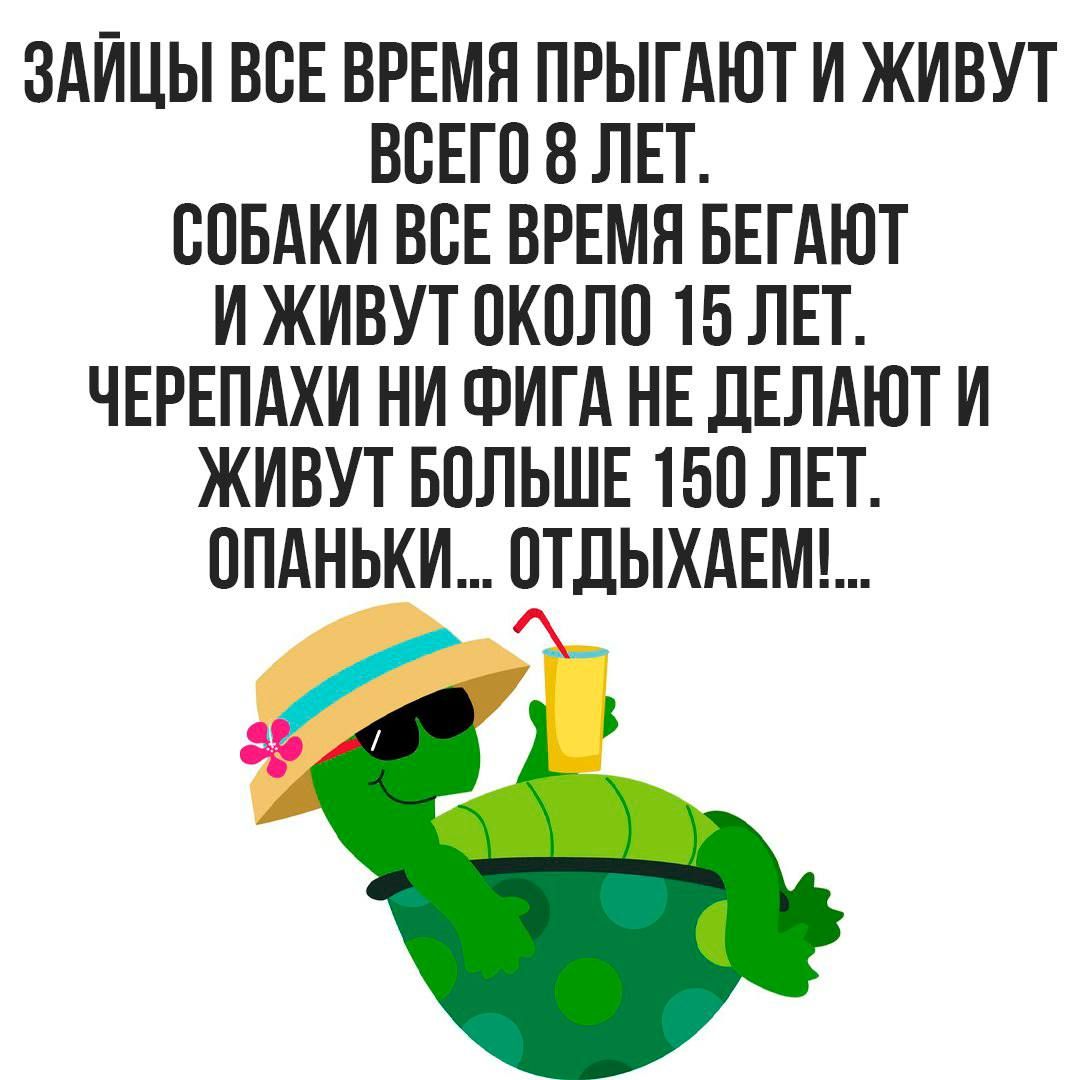 ЗАИЦЫ БЕЕ ВРЕМЯ ПРЫТАЮТ И ЖИВУТ ВСЕГО В ЛЕТ ТЮБАКИ ВСЕ ВРЕМЯ БЕГАЮТ И ЖИВУТ ПКПЛП 15 ЛЕТ ЧЕРЕПАХИ НИ ФИГА НЕ дЕЛАЮТ И ЖИВУТ БОЛЬШЕ 150 ЛЕТ ППАНЬКИ ПТЦЫХАЕМ