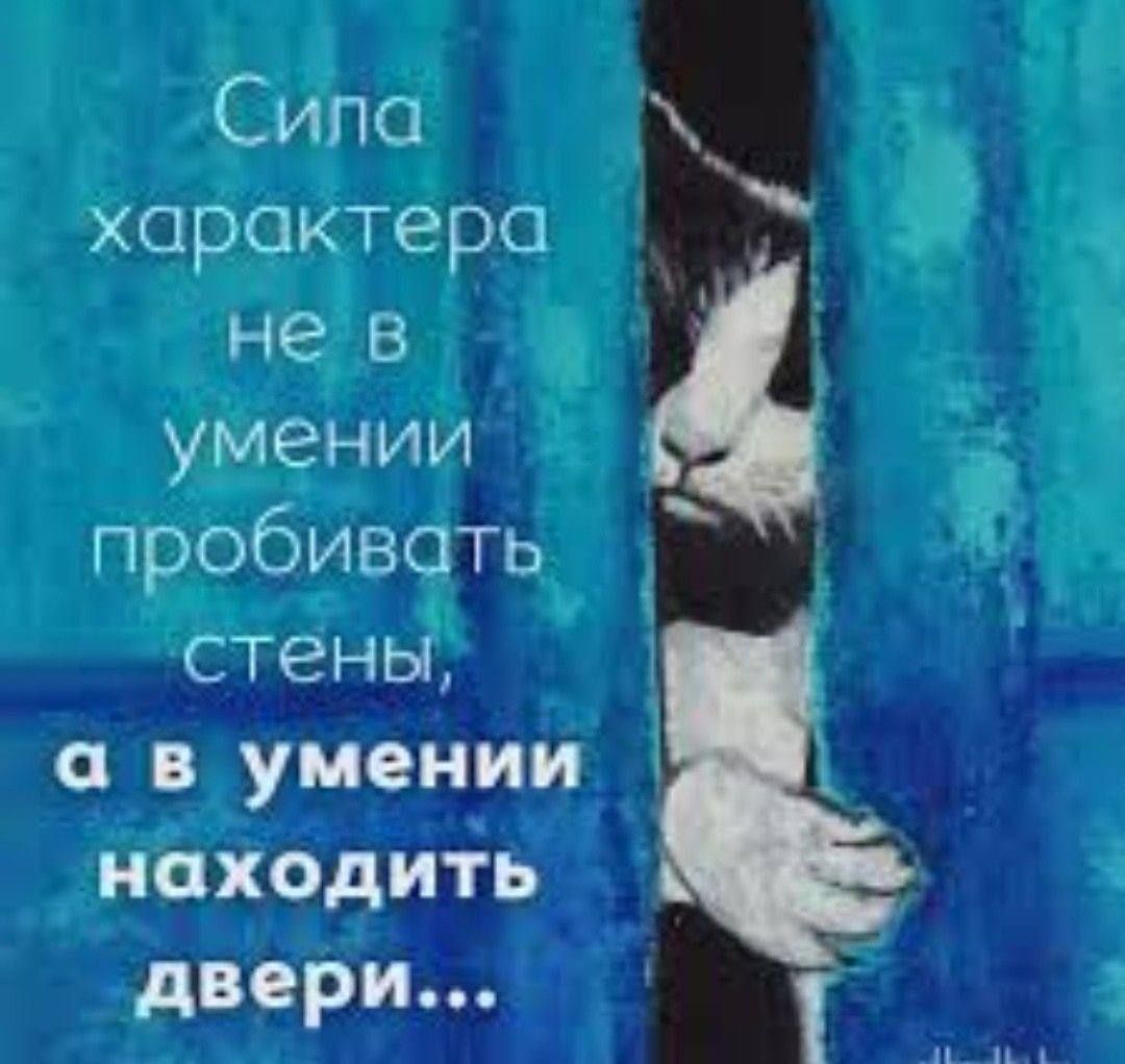 Сипо характера не в умении пробивоіь стены яв уиюмии нщжощшть шпаги