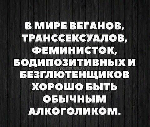 В МИРЕ ВЕГАНОВ ТРАНССЕКСУАЛФВ ФЕМИНИСТОК БОДИПОЗИТИВНЫХ И БЕЗГЛЮТЕНЩИКОВ ХФРОШО БЫТЬ ОБЫЧНЫМ АЛКОГОЛИКОМ