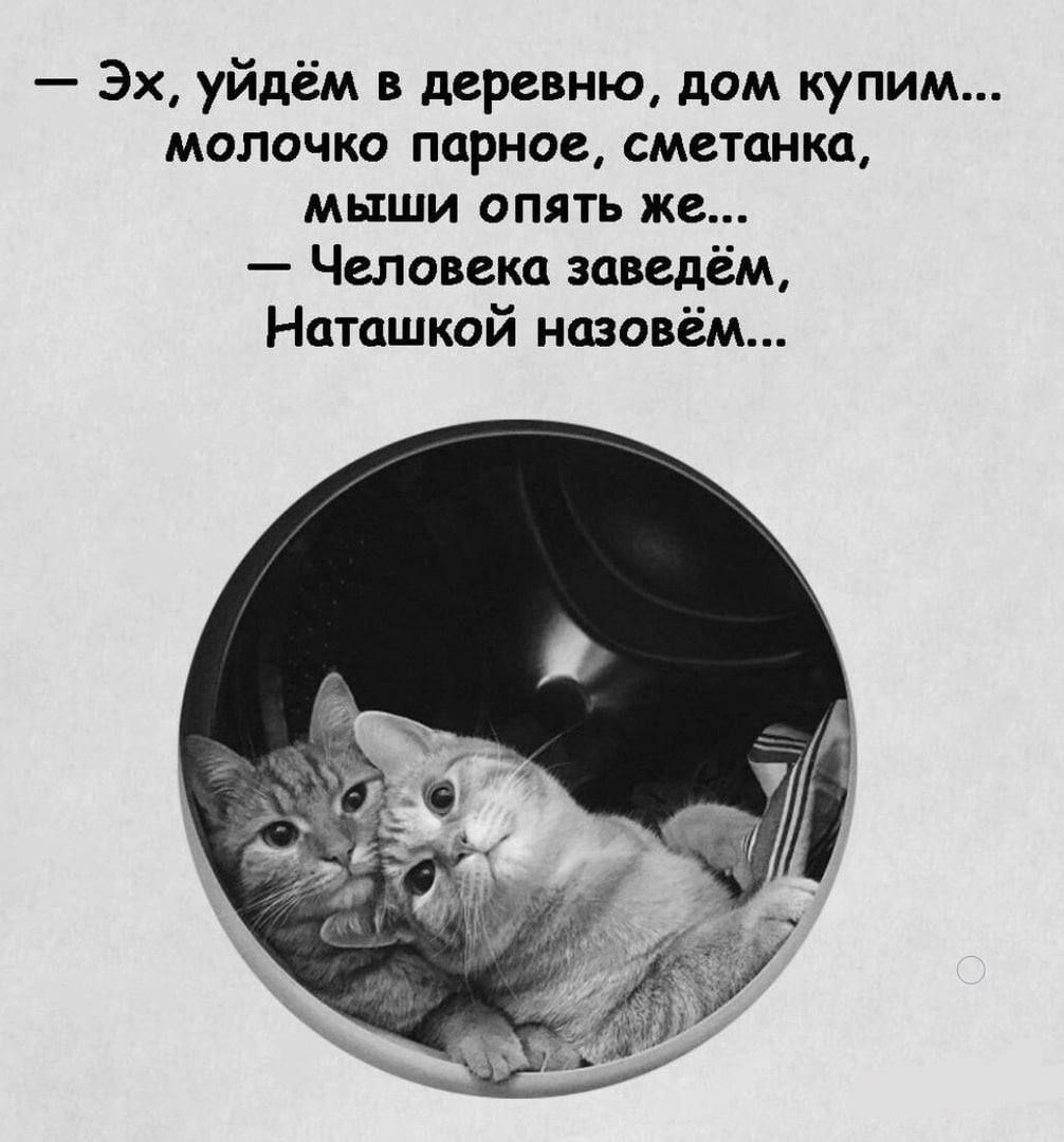 Эх уйдём в деревню дом купим МОПОЧКО парное СМВТПНКЦ МЬ1ШИ ОПЯТЬ ЖЕ Человека заведём Наташкой назовём