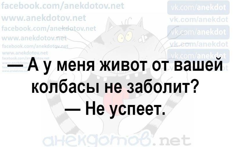 А у меня живот от вашей колбасы не заболит Не успеет