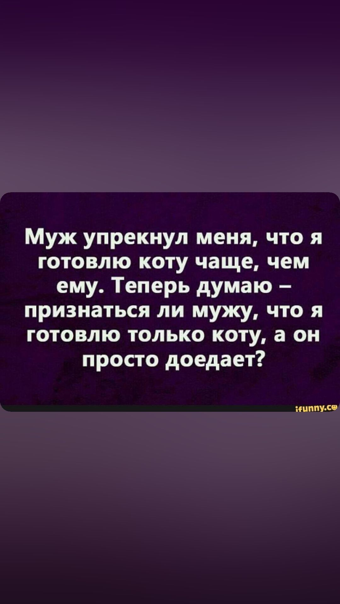 Муж упрекиул меня что я готовлю коту чаще чем ему Теперь думаю признаться ли мужу что я готовлю только коту а он просто доедает гопник