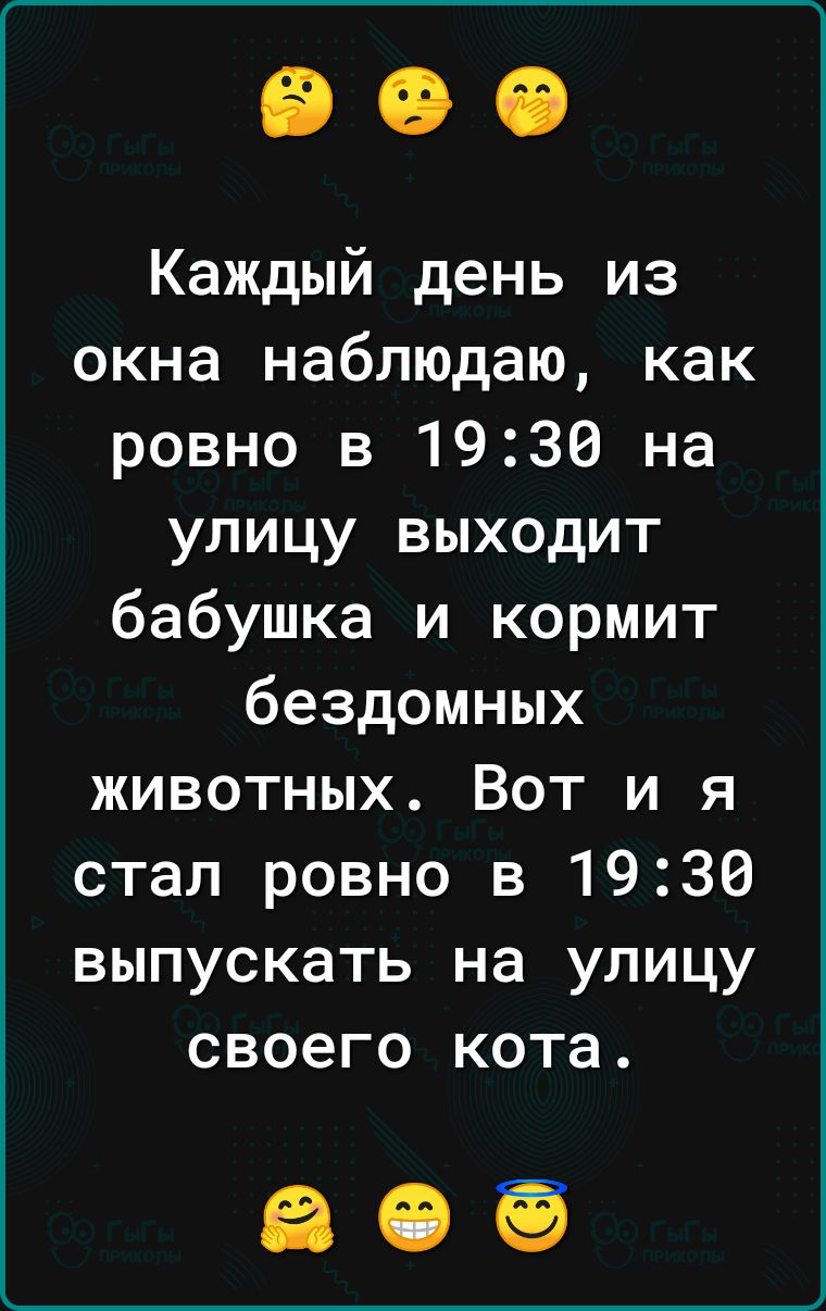 Каждый день из окна наблюдаю как ровно в 1930 на улицу выходит бабушка и кормит бездомных животных Вот и я стал ровно в 1930 выпускать на улицу своего кота