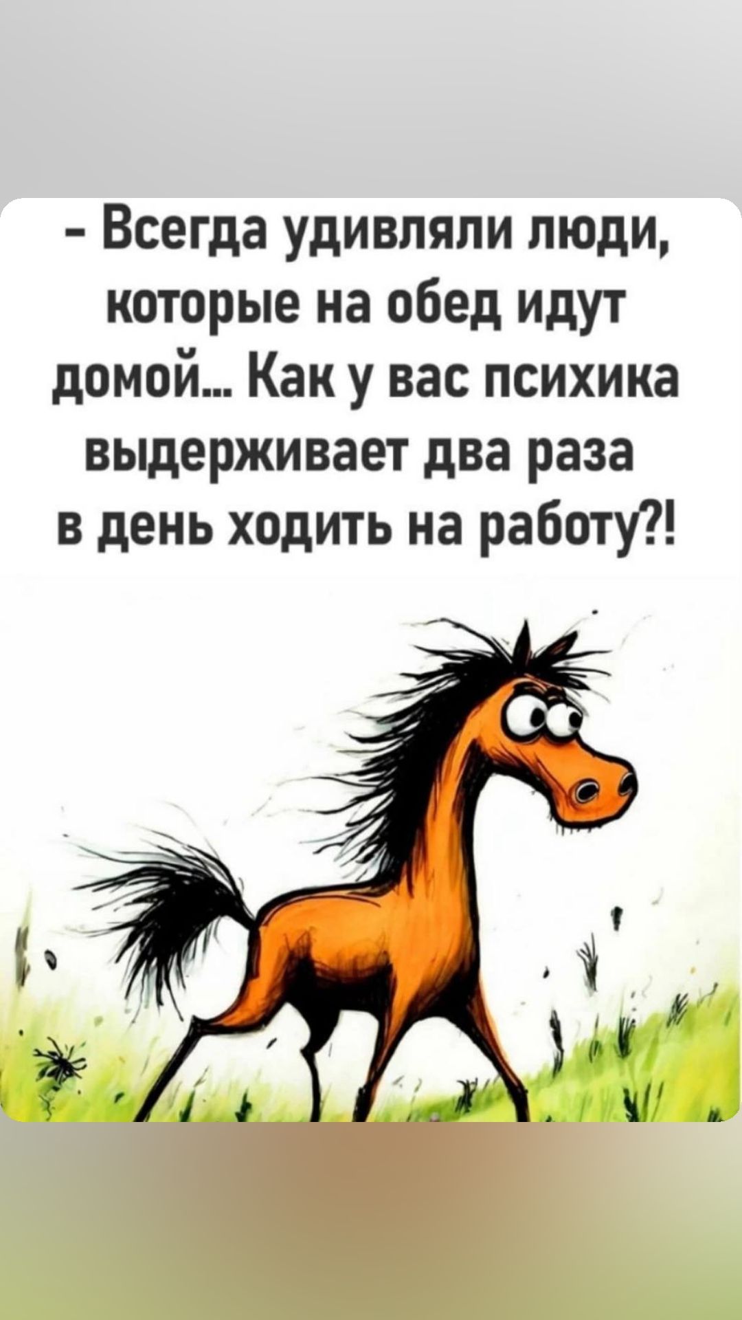 Всегда удивляли люди которые на обед идут домой Как у вас психика выдерживает два раза в день ходить на работу