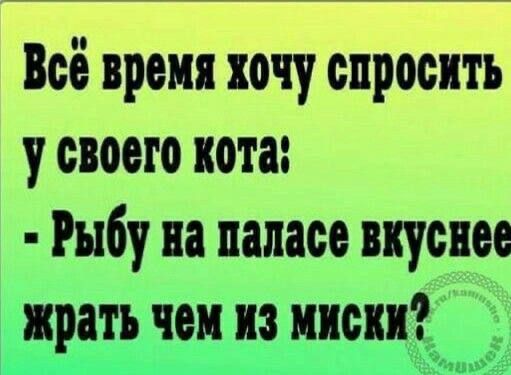 Всё время хочу спросить у своего кота Рыбу на папасс вкусное жрать чеи из писи