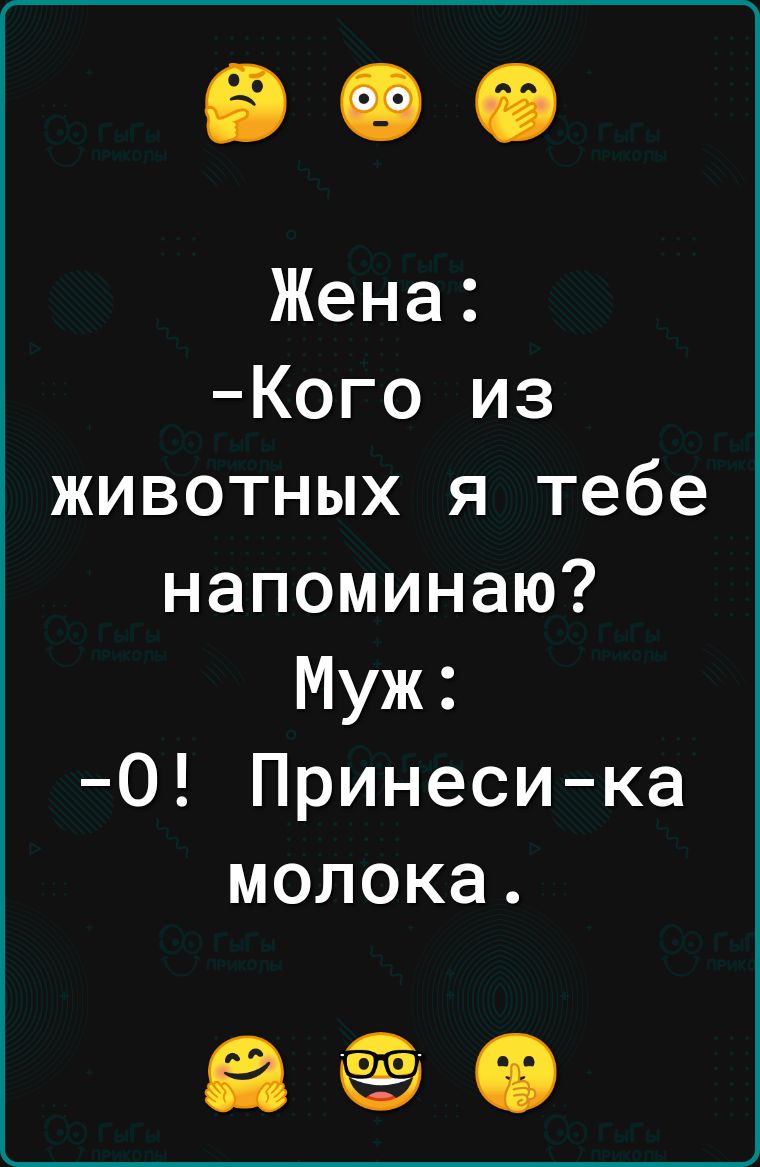 Жена Кого из животных я тебе напоминаю Муж 0 Принесика молока 0