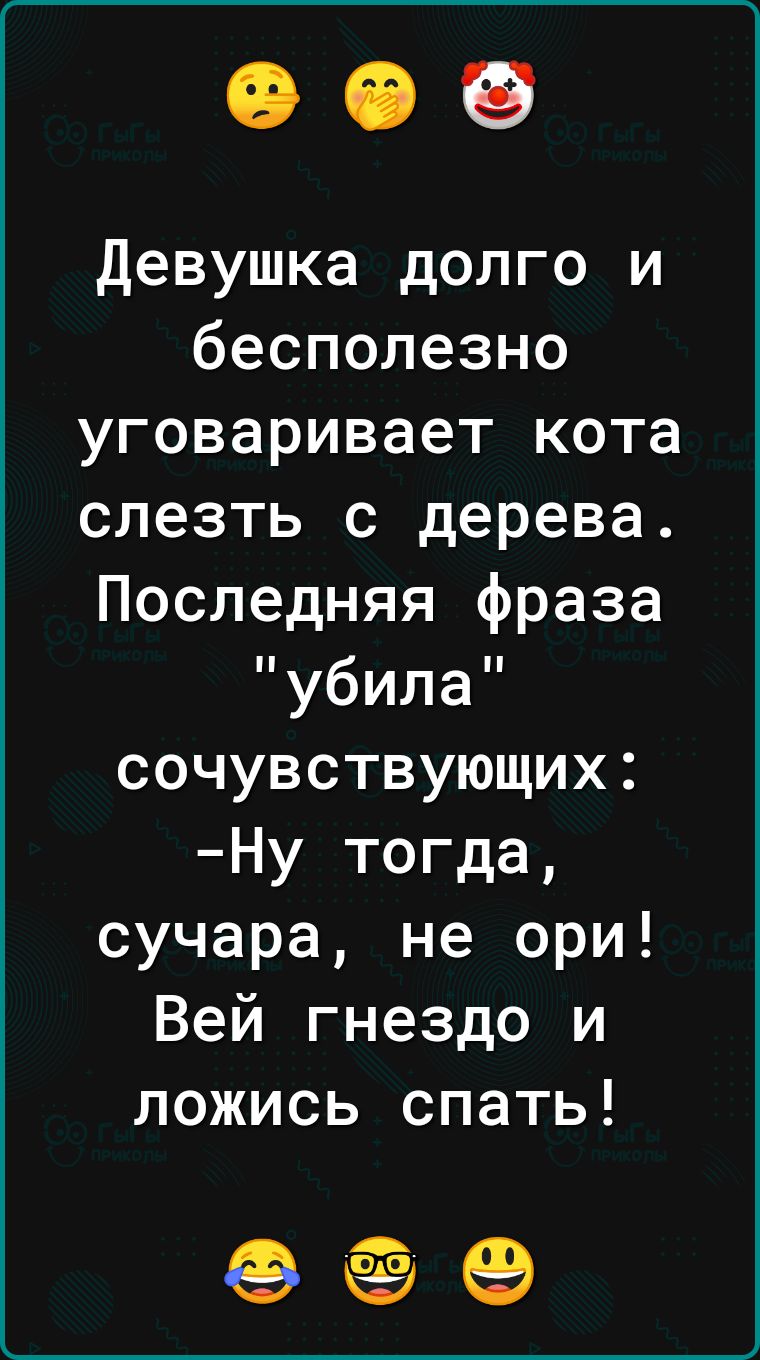 Девушка долго и бесполезно уговаривает кота слезть с дерева Последняя фраза убила сочувствующих Ну тогда сучара не ори Вей гнездо и ложись спать