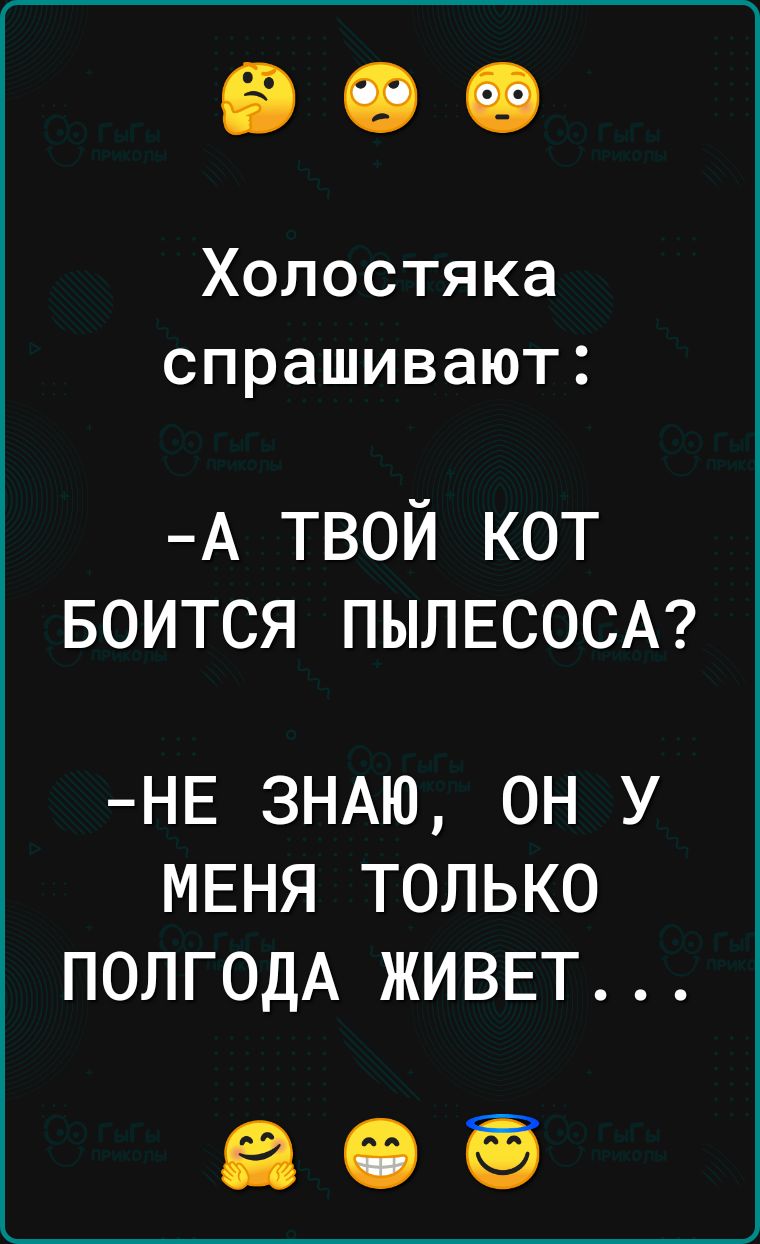 Холостяка спрашивают А ТВОй КОТ БОИТСЯ ПЫЛЕСОСА НЕ ЗНАЮ ОН У МЕНЯ ТОЛЬКО ПОЛГОДА ЖИВЕТ