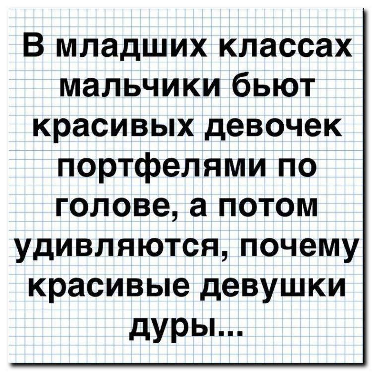 В младших классах мальчики бьют красивых девочек портфелями по голове а потом удивляются почему красивые девушки дуры