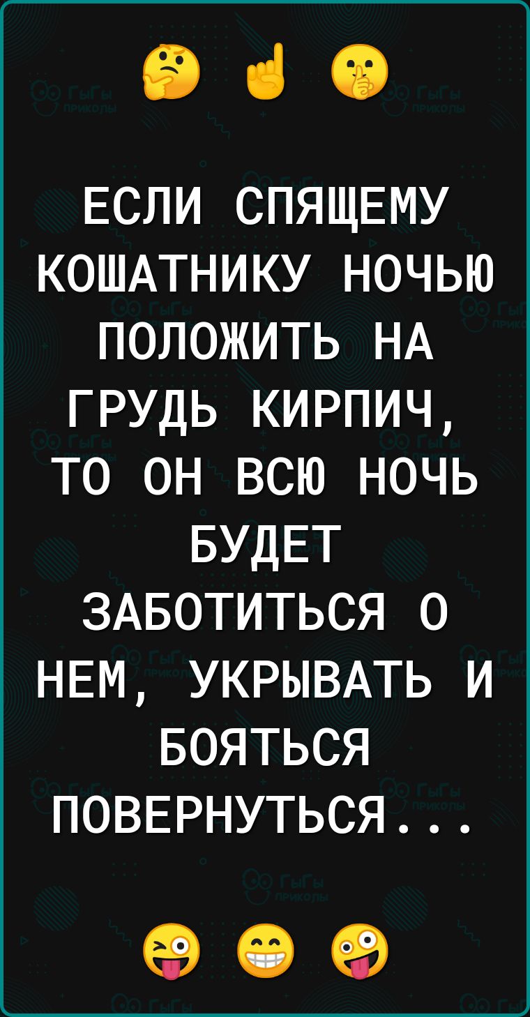 е ч ЕСЛИ СПЯЩЕМУ КОШАТНИКУ НОЧЬЮ ПОЛОЖИТЬ НА ГРУДЬ КИРПИЧ то он ВсЮ НоЧЬ БУДЕТ ЗАБОТИТЬСЯ 0 НЕМ УКРЫВАТЬ И БОЯТЬСЯ ПОВЕРНУТЬСЯ е е