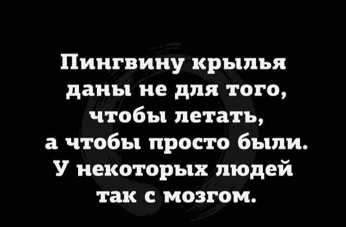 Пингвину крылья даны не для того чтобы летать а чтобы просто были У некоторых людей так с мозгом