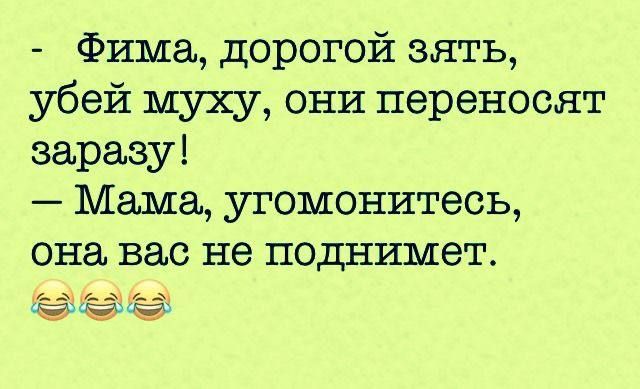 Фима дорогой зять убей муху они переносят заразу Мама угомонитесь она вас не поднимет