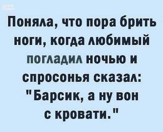 Поняла что пора брить ноги когда любимый погладил ночью и спросонья сказал Барсик а ну вон с кровати