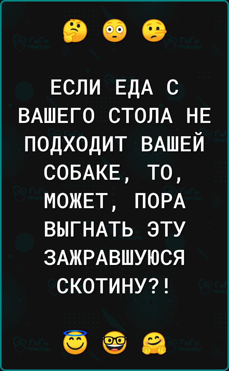 ЕСЛИ ЕДА С ВАШЕГО СТОЛА НЕ ПОДХОДИТ ВАШЕЙ СОБАКЕ ТО МОЖЕТ ПОРА ВЫГНАТЬ ЭТУ ЗАЖРАВШУЮСЯ СКОТИНУ еа