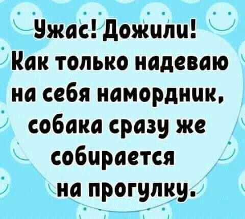 Ужас Дожили Как только надеваю на себя намордник собака сразу же собирается на прогулку