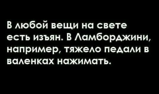 В любой вещи на свете есть изъян В Ламборджини например тяжело педали в валенках нажимать