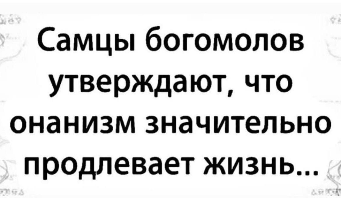 Самцы богомолов утверждают что онанизм значительно продлевает жизнь