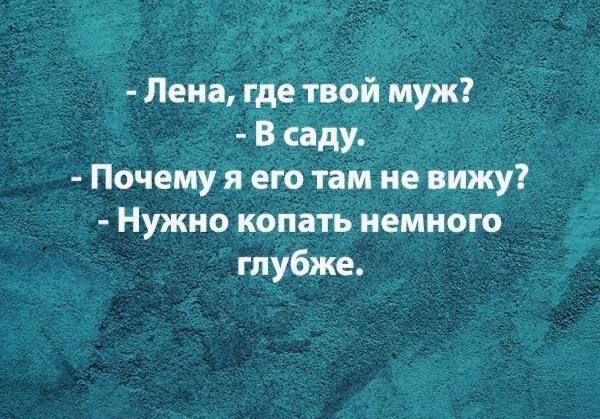 Лена где твой муж В саду Почему я его там не вижу Нужно копать немного глубже