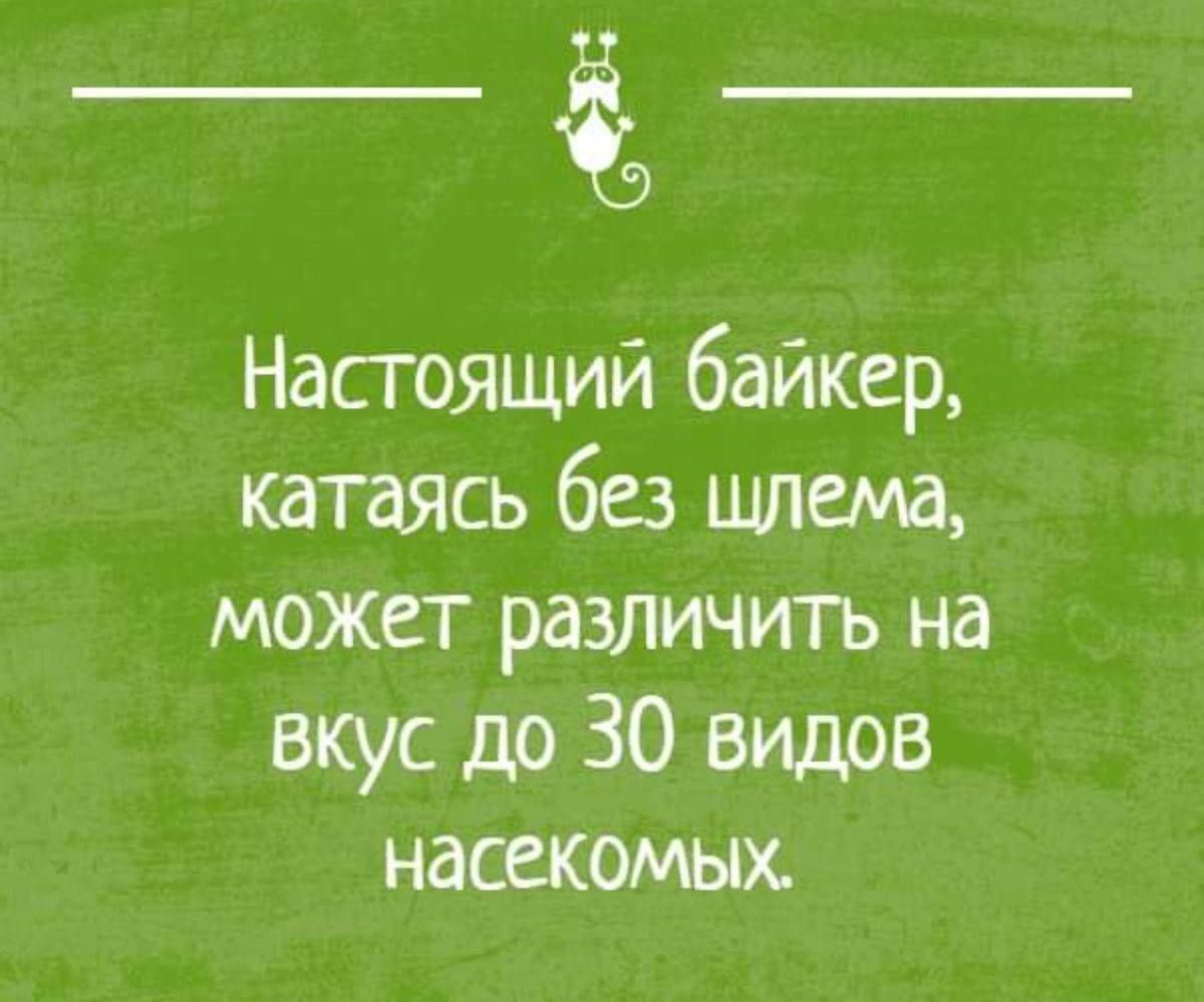 Настоящий байкер катаясь без щлема может различить на вкус до 30 видов насекомых