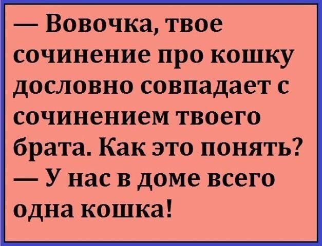 Вовочка твое сочинение про кошку дословно совпадает с сочинением твоего брата Как это понять У нас в доме всего одна кошка