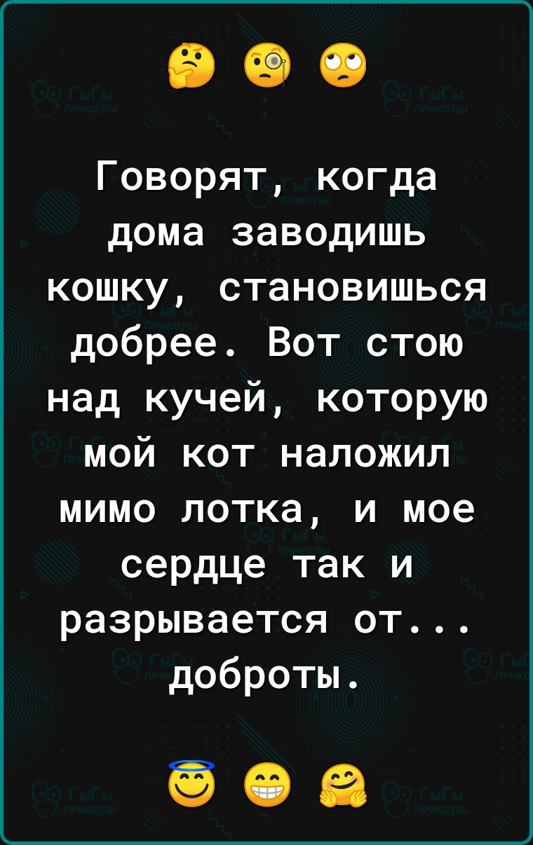 Говорят когда дома заводишь кошку становишься добрее Вот стою над кучей которую мой кот наложил мимо лотка и мое сердце так и разрывается от доброты