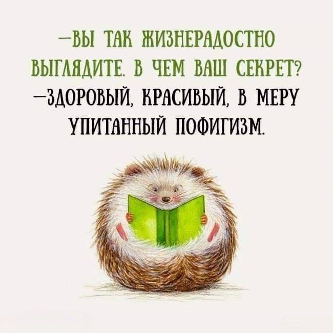 ВЫ ТАК ЖИЗНЕРАДОСТНО ВЫГЛЯДИТЕ В ЧЕМ ВАШ СЕКРЕТ ЗДОРОВЫЙ КРАСИВЫЙ В МЕРУ УПИТАННЫЙ ПОФИГИЗМ