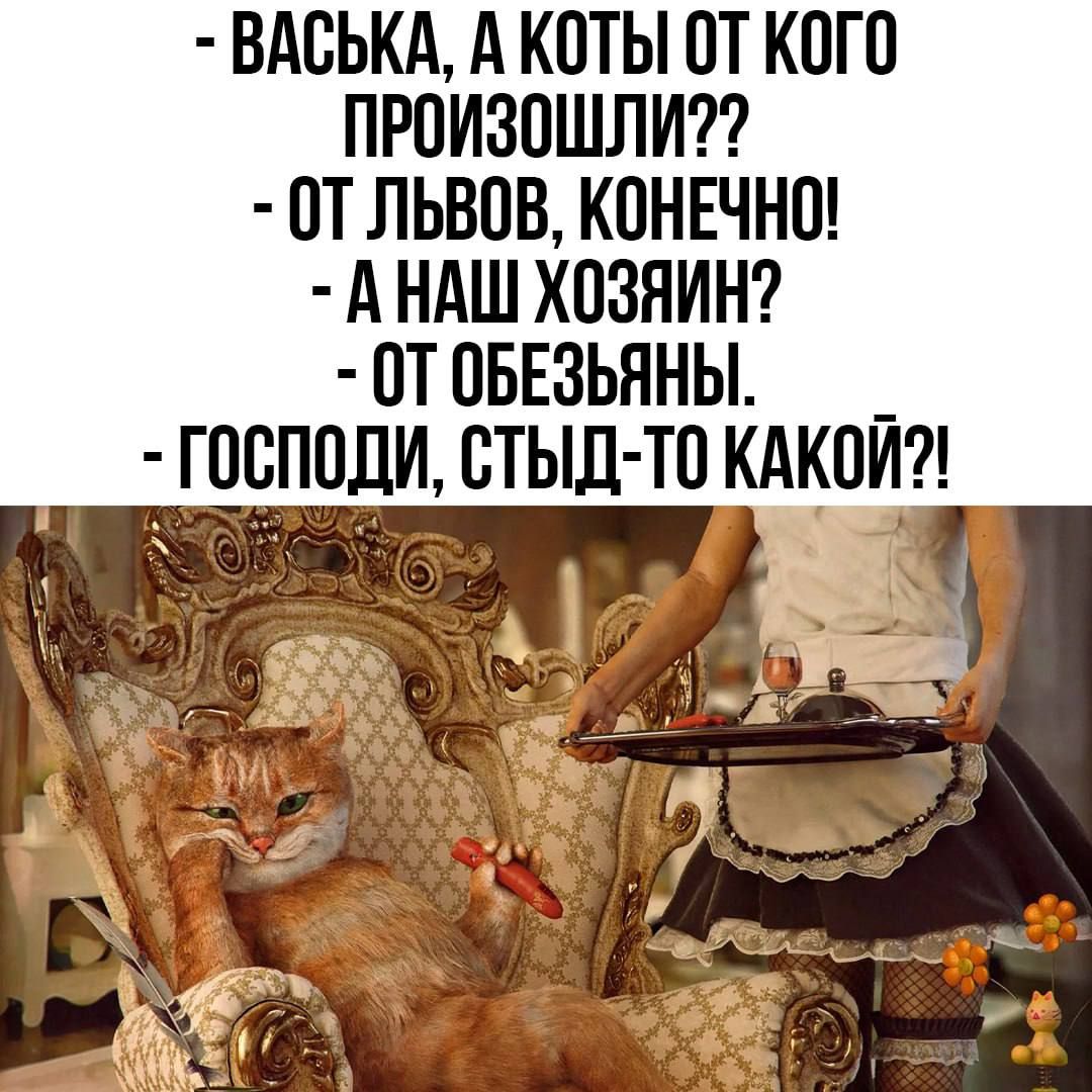 ВАСЬКА А КОТЫ ОТ КОГО ПРОИЗОШЛИ ОТ ЛЬВОВ КОНЕЧНО АНАШ ХОЗЯИН ОТОБЕЗЬЯНЫ ГОСПОДИ СТЫД ТО КАКОЙ