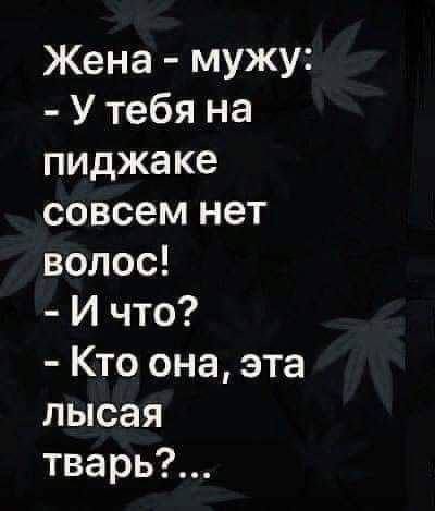 Жена мужу Утебя на пиджаке совсем нет волос И что Кто она эта лысая тварь