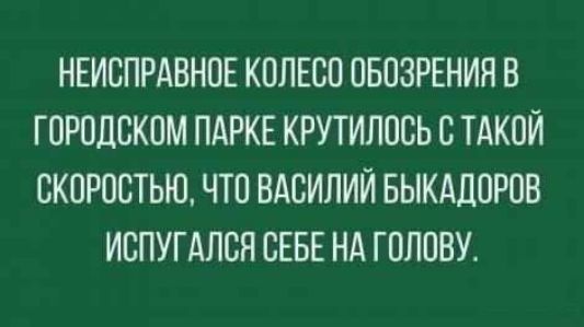 НЕИСПРАВНОЕ КОЛЕСО ОБОЗРЕНИЯ В ГОРОДСКОМ ПАРКЕ КРУТИЛОСЬ С ТАКОЙ СКОРОСТЬЮ ЧТО ВАСИЛИЙ БЫКАДОРОВ ИСПУГАЛСЯ СЕБЕ НА ГОЛОВУ