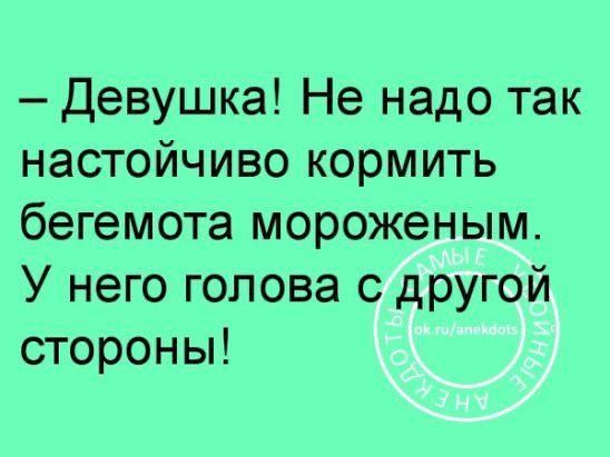 Девушка Не надо так настойчиво кормить бегемота мороженым У него голова с другой стороны