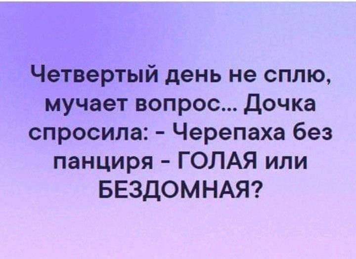 Четвертый день не сплю мучает вопрос Дочка спросила Черепаха без панциря ГОЛАЯ или БЕЗДОМНАЯ