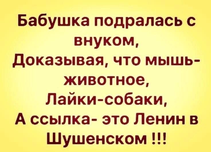 Бабушка подралась с внуком Доказывая что мышь животное Лайки собаки А ссылка это Ленин в Шушенском