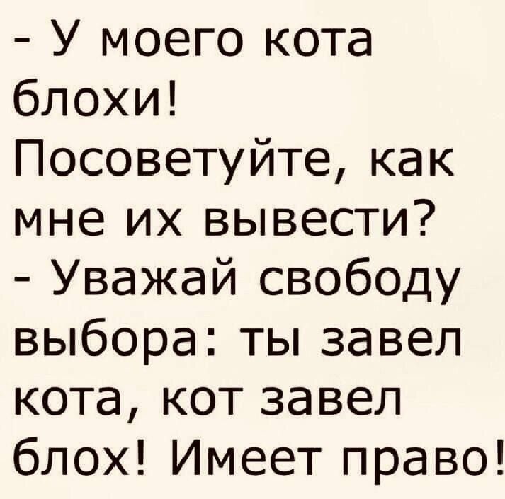 У моего кота блохи Посоветуйте как мне их вывести Уважай свободу выбора ты завел кота кот завел блох Имеет право