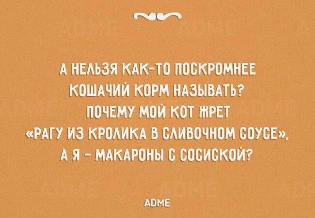 А НЕЛЬЗЯ КАК ТО ПОСКРОМНЕЕ КОШАЧИЙ КОРМ НАЗЫВАТЬ ПОЧЕМУ МОЙ КОТ ЖРЕТ РАГУ ИЗ КРОЛИКА В СЛИВОЧНОМ СОУСЕ АЯ МАКАРОНЫ 6 СОСИСКОЙ