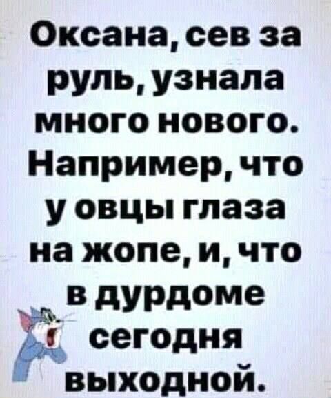 Оксана сев за руль узнала много нового Например что у овцы глаза на жопе и что В дурдоме Ё сегодня в ыходной