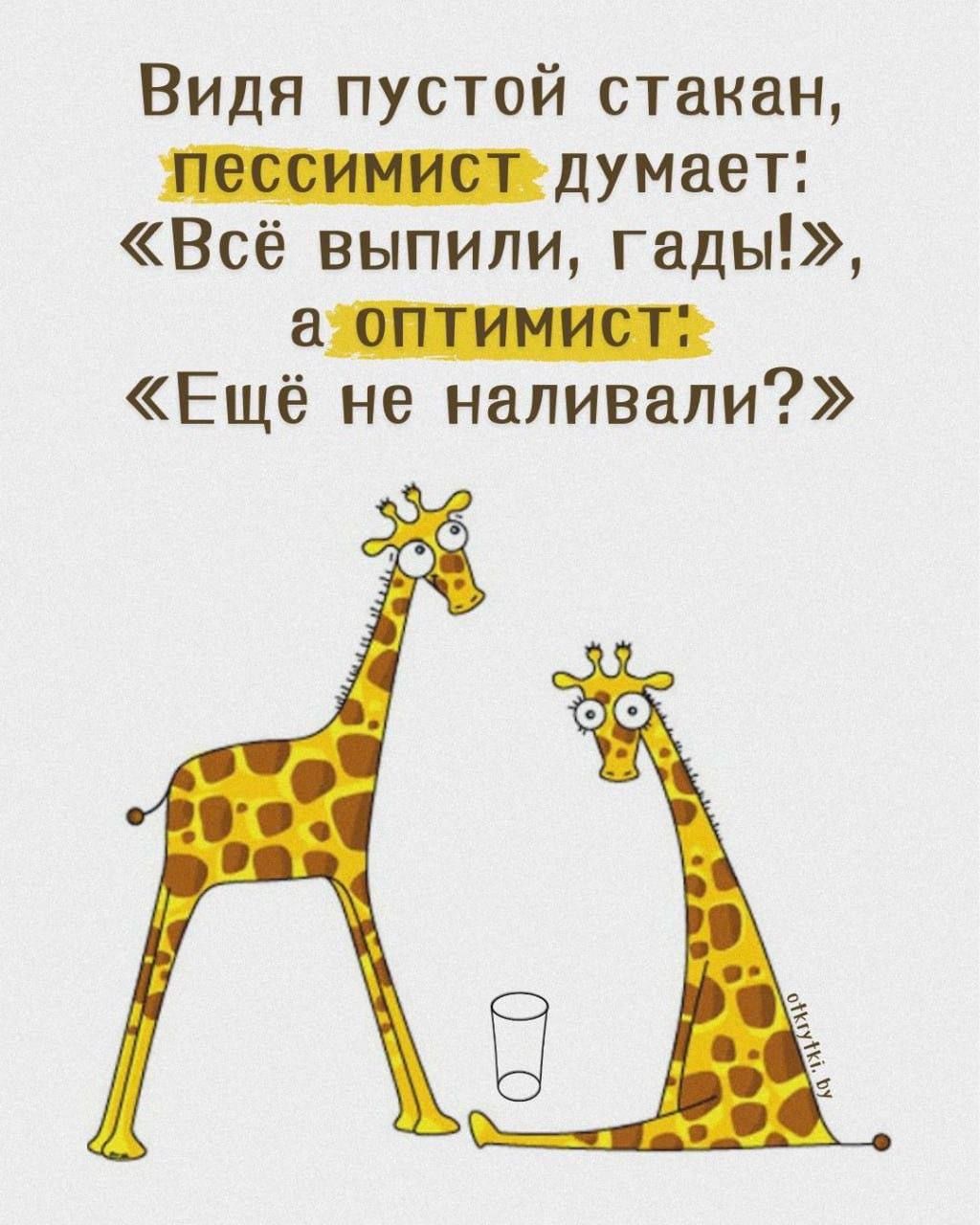 Видя пустой стакан лессимист думает Всё выпили гады а оптимист Ещё не наливали