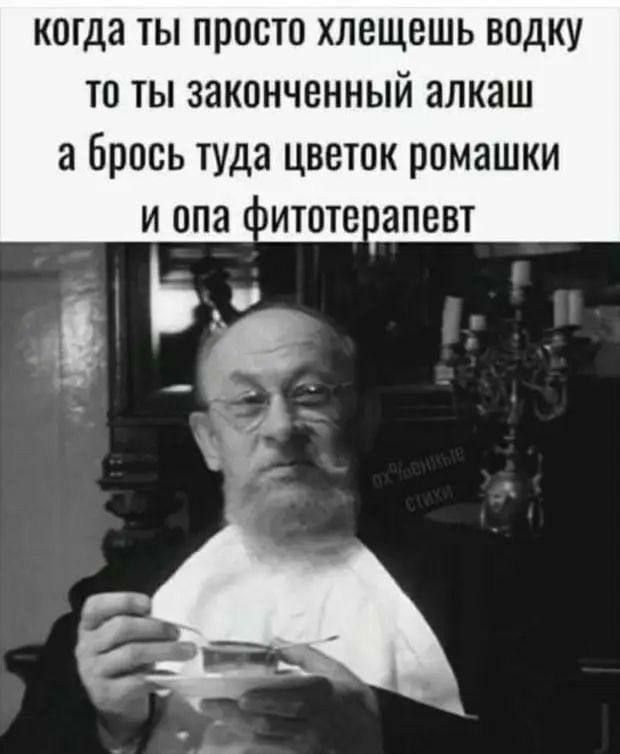 когда ты просто хлещешь водку то ты законченный алкаш а брось туда цветок ромашки и опа Фитотерапевт