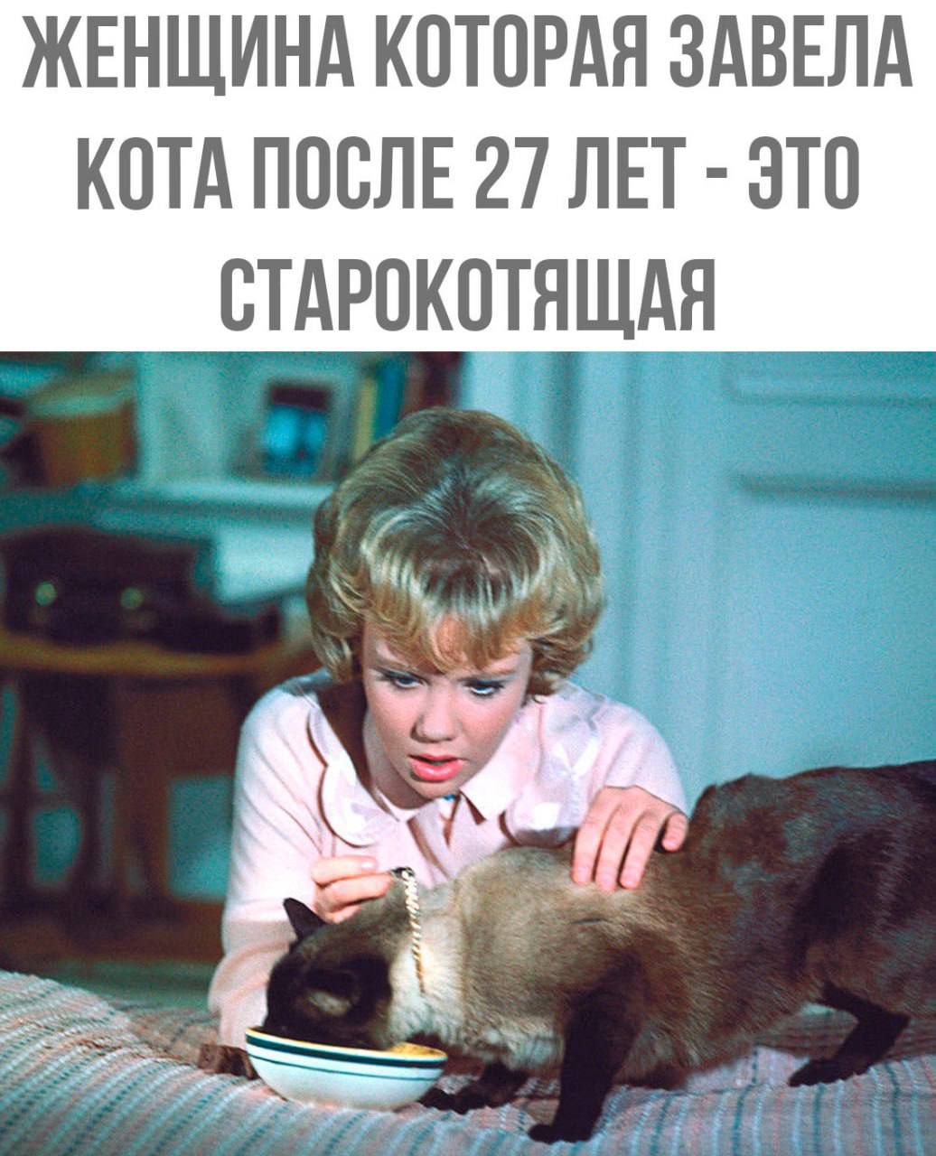 ЖЕНЩИНА КОТОРАЯ ЗАВЕЛА КОТА ПОСЛЕ 27 ЛЕТ ЭТО СТАРОКОТЯЩАЯ