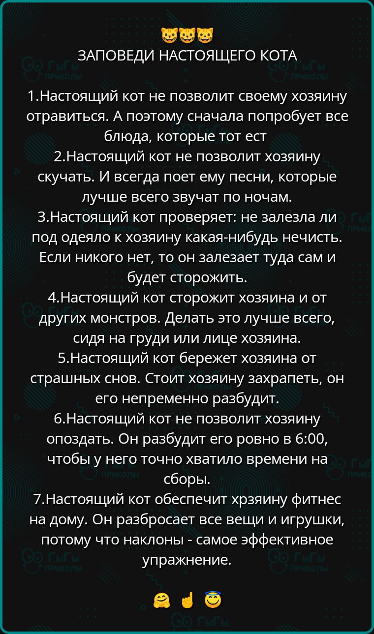 5 ЗАПОВЕДИ НАСТОЯЩЕГО КОТА 1Настоящий кот не позволит своему хозяину отравиться А поэтому сначала попробует все блюда которые тот ест 2Настоящий кот не позволит хозяину скучать И всегда поет ему песни которые лучше всего звучат по ночам ЗНастоящий кот проверяет не залезла ли под одеяло к хозяину какая нибудь нечисть Если никого нет то он залезает т
