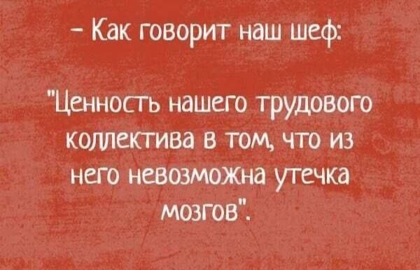 Как говорит наш шеф Ценность нашего трудового коллектива в том что из него невозможна утечка мозгов