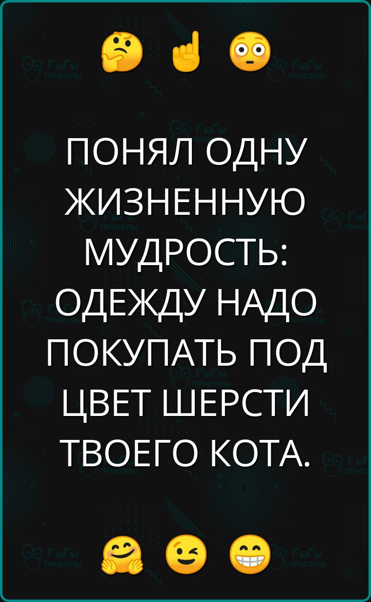 е ПОНЯЛ ОДНУ ЖИЗНЕННУЮ МУДРОСТЬ ОДЕЖДУ НАДО ПОКУПАТЬ ПОД ЦВЕТ ШЕРСТИ ТВОЕГО КОТА