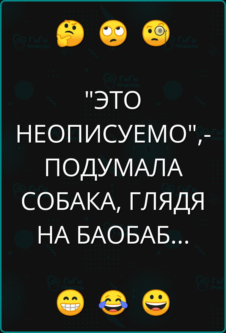 ЭТО НЕОПИСУЕМО ПОДУМАЛА СОБАКА ГЛЯДЯ НА БАОБАБ е о