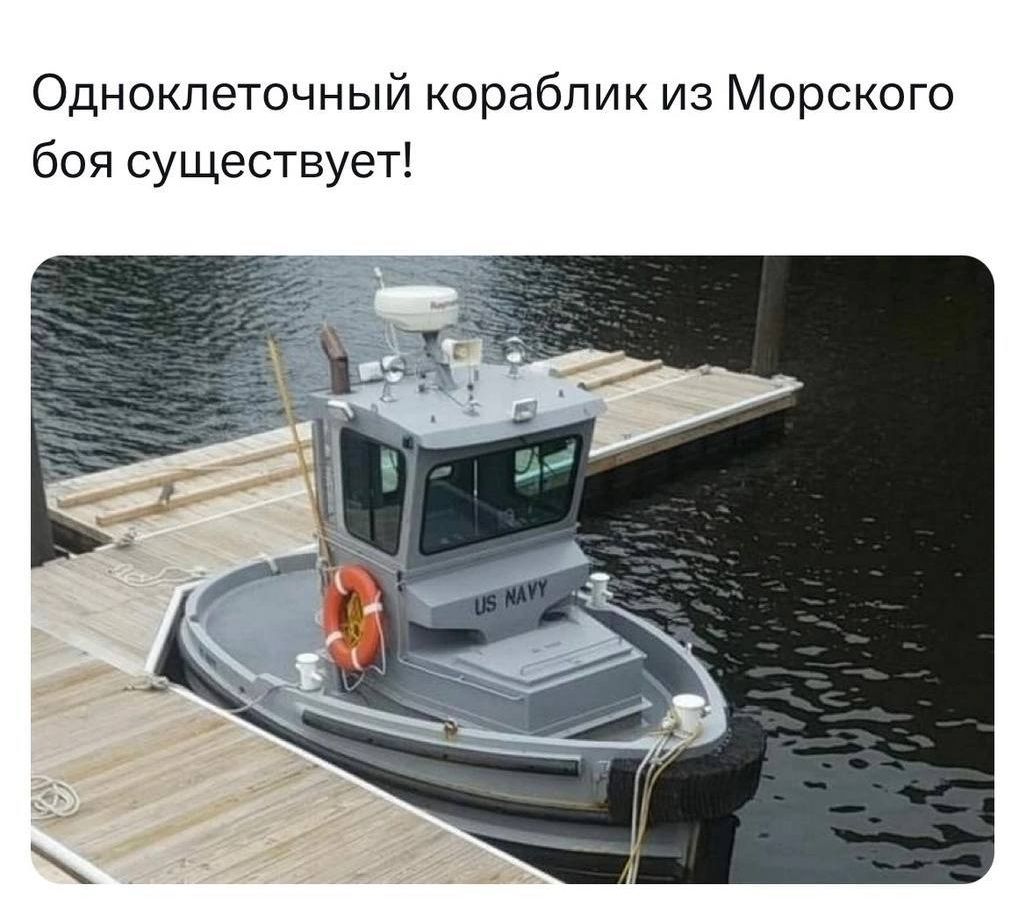 Одноклеточный кораблик из Морского боя существует