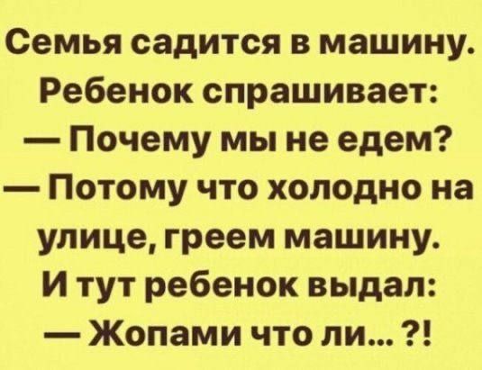 Семья садится в машину Ребенок спрашивает Почему мы не едем Потому что холодно на улице греем машину Итут ребенок выдал Жопами что ли