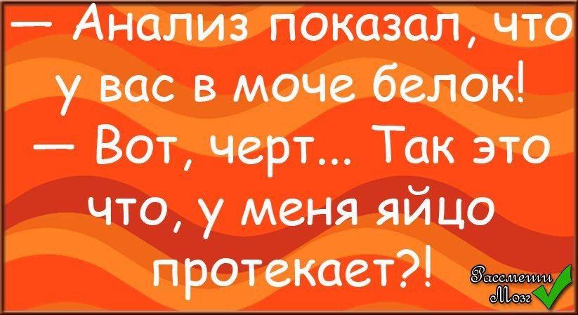 нализпоказалчт увас в моче белок Вот черт Так это что у меня яйцо протекает