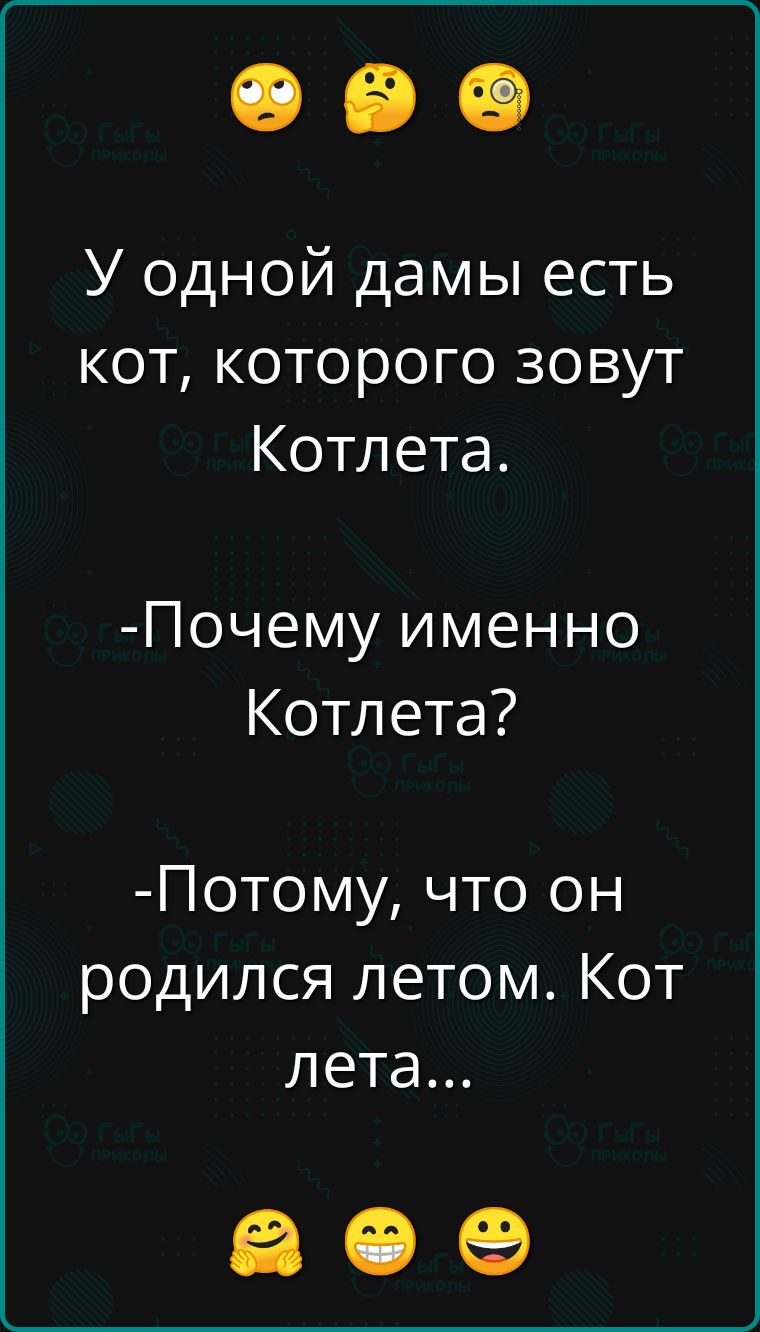 У одной дамы есть кот которого зовут Котлета Почему именно Котлета Потому что он родился летом Кот лета ав е